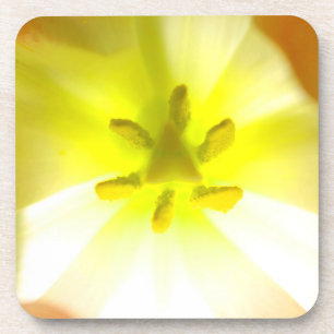 Posavasos Monstruo de plástico duro con flores amarillo bril