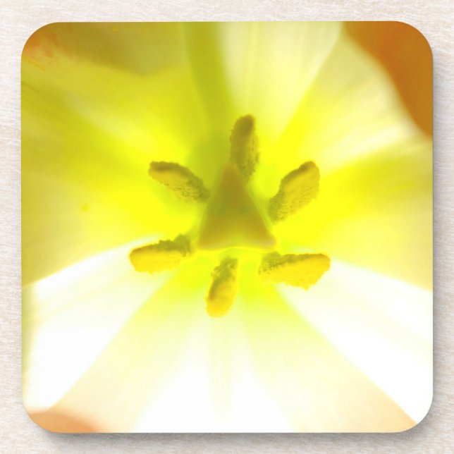 Posavasos Monstruo de plástico duro con flores amarillo bril (Frente)
