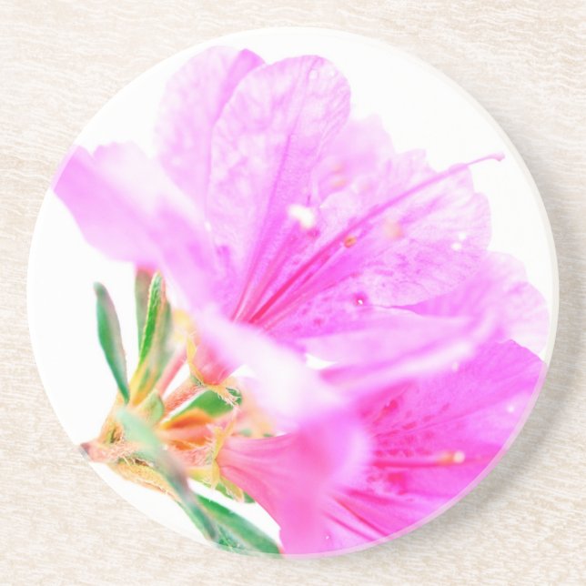 Posavasos Monstruo floral suave rosado (Frente)