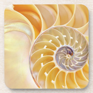 Posavasos Monstruo plástico duro de Nautilus