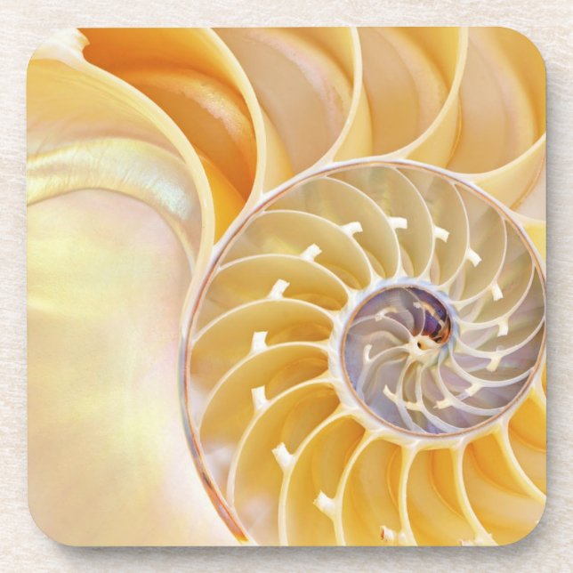 Posavasos Monstruo plástico duro de Nautilus (Frente)