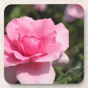 Posavasos Monstruo rosa rosa
