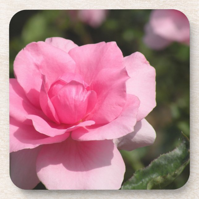 Posavasos Monstruo rosa rosa (Frente)