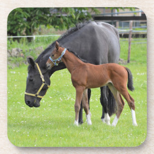 Posavasos Monstruos de caballos