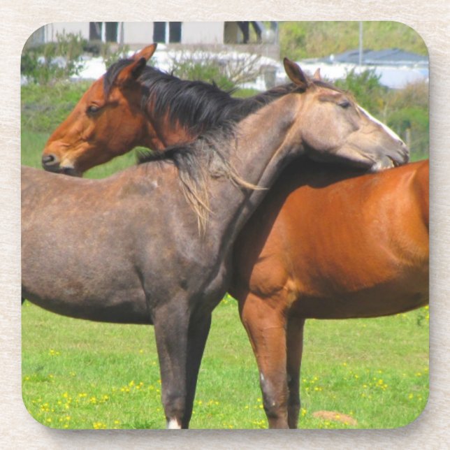 Posavasos Monstruos de caballos (Frente)