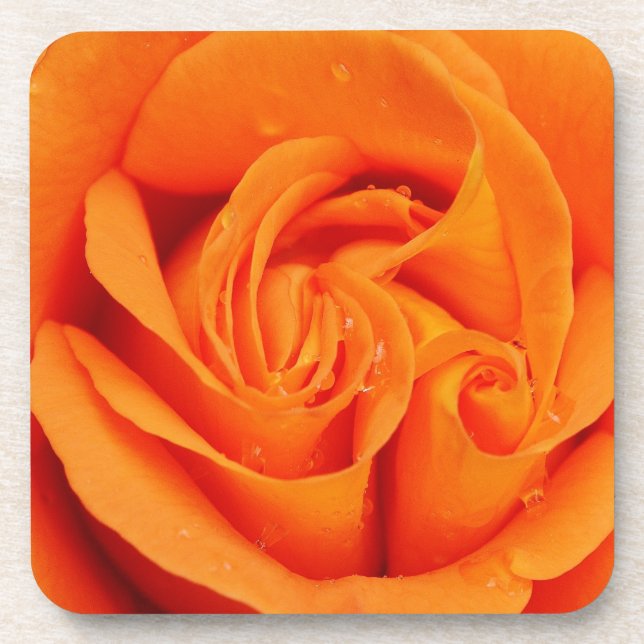 Posavasos Montaje de 6 castradoras de bebida Naranja rosa re (Frente)