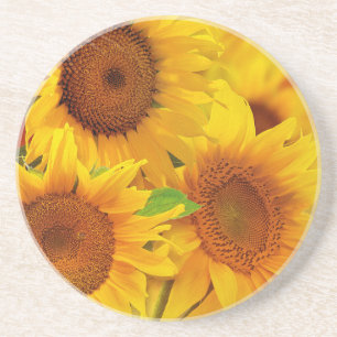 Posavasos Montaña de arenisca de girasol