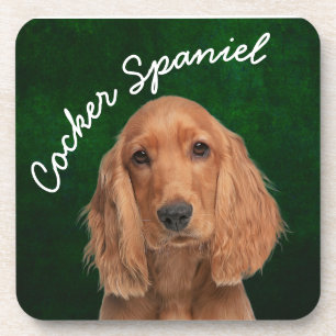 Posavasos Montaña de bebidas de Cocker Spaniel