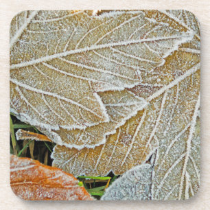 Posavasos Montaña de coral de arce congelada