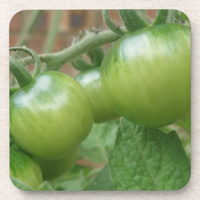 Posavasos Montaña de coral de tomates verdes (Frente)