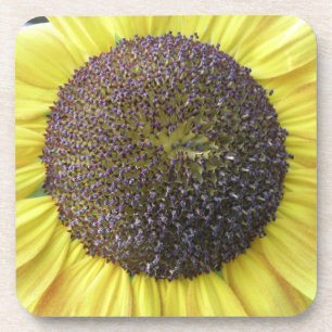 Posavasos Montaña de corcho de girasol amarillo