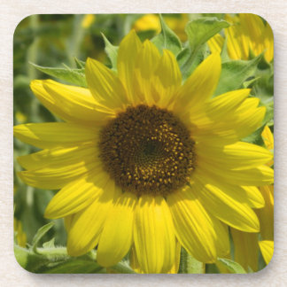 Posavasos Montaña de corcho de girasol grande
