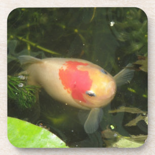 Posavasos Montaña de corcho de peces dorados