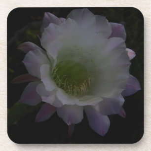 Posavasos montaña de flores de cereales morado