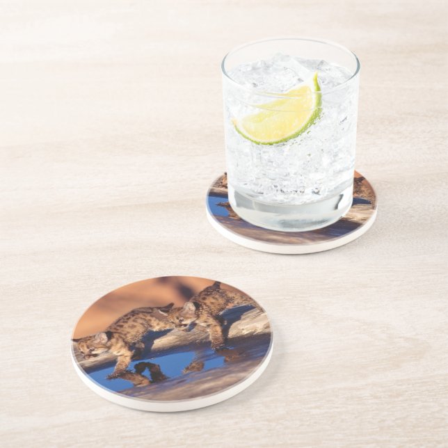 Posavasos Montaña León Cubs Stone Coaster (Lado)