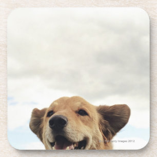 Posavasos Montana, los E.E.U.U.