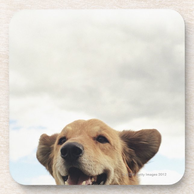 Posavasos Montana, los E.E.U.U. (Frente)