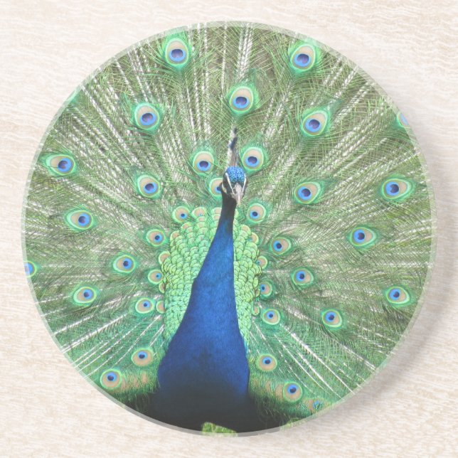 Posavasos Montaña - Peacock (Frente)