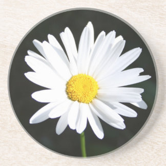 Posavasos Montaña rusa de arenisca blanca