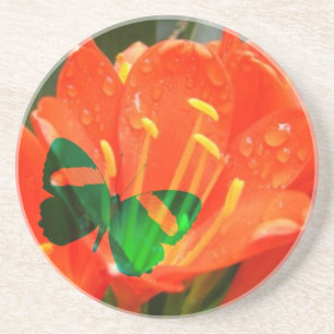 Posavasos montaña rusa de mariposa de agua naranja