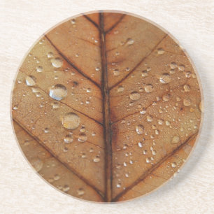 Posavasos Montaña rusa de otoño