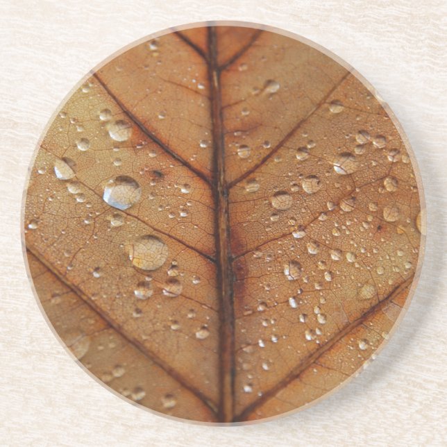 Posavasos Montaña rusa de otoño (Frente)