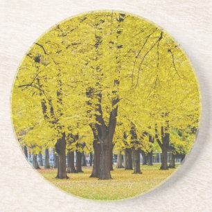 Posavasos Montaña rusa de otoño