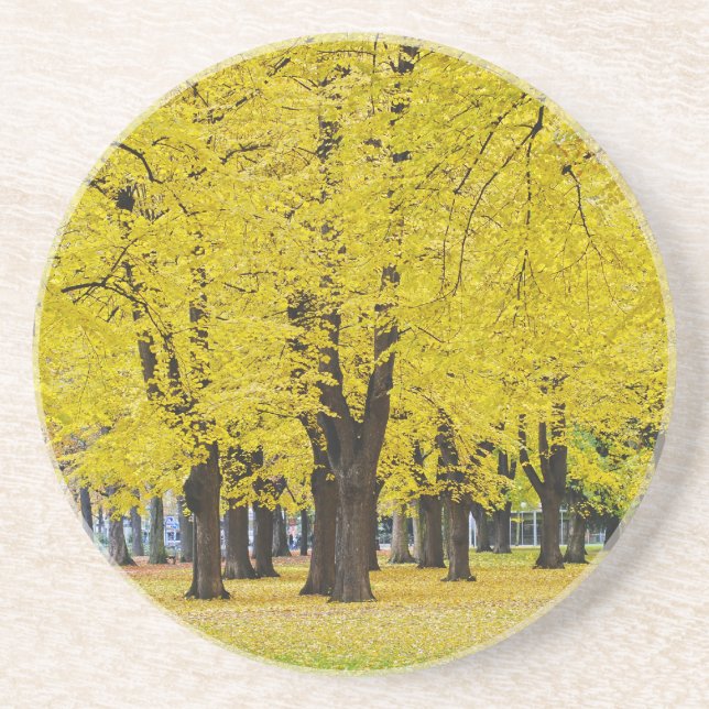Posavasos Montaña rusa de otoño (Frente)
