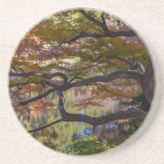 Posavasos montaña rusa en el parque de japón