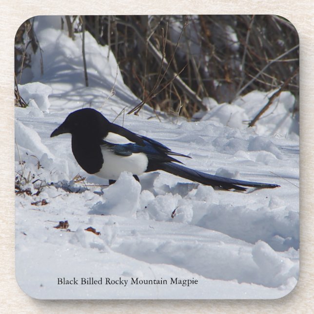 Posavasos Montañas rocosas 6 ruedas de plástico (Frente)