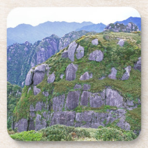 Posavasos Monte Nagata, Yakushima, Kagoshima, Japón