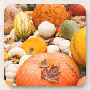 Posavasos Montón de calabazas y zapallo