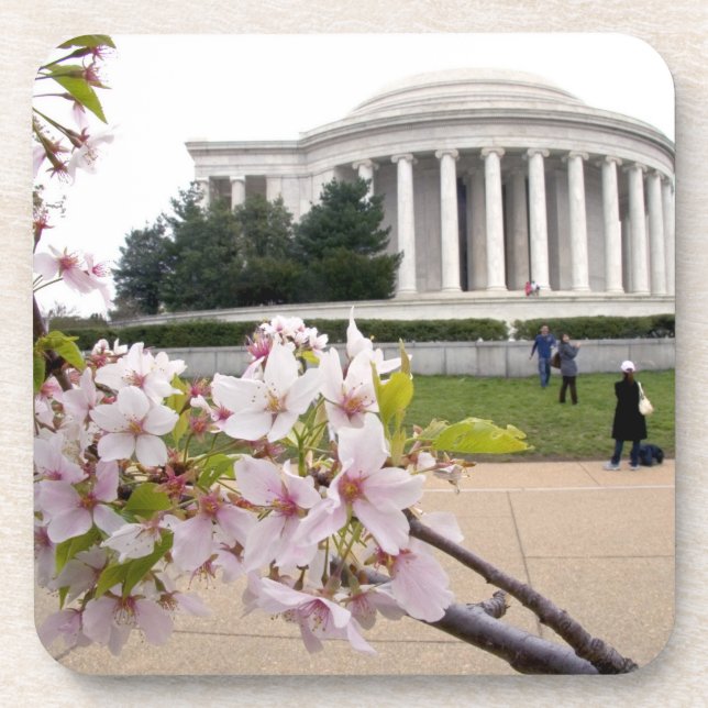 Posavasos Monumento a Thomas Jefferson con flor de cerezo (Frente)