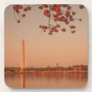 Posavasos Monumento de Washington Sakura en la puesta del