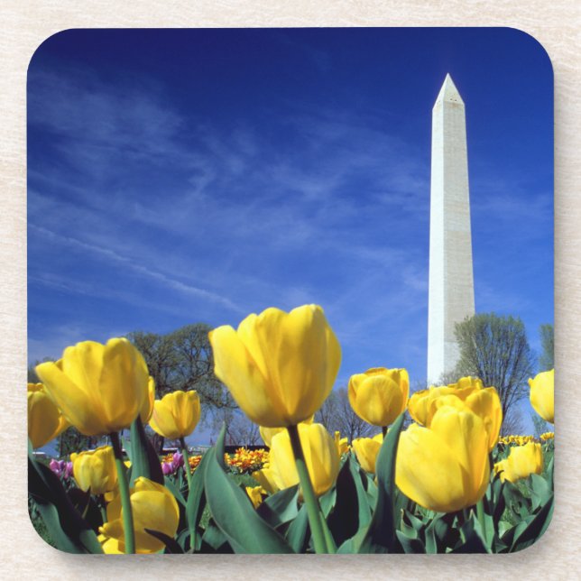 Posavasos Monumentos | Monumento a Washington en primavera (Frente)