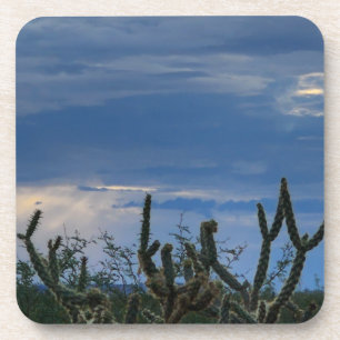 Posavasos Monzón del Desierto de Cactus