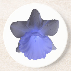 Posavasos Moody Blue Driding Daffodil Coasters
