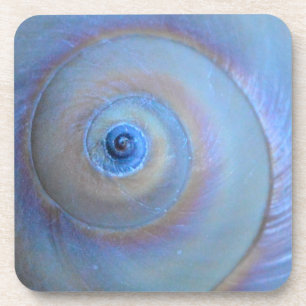 Posavasos Moonsnail Closeup4