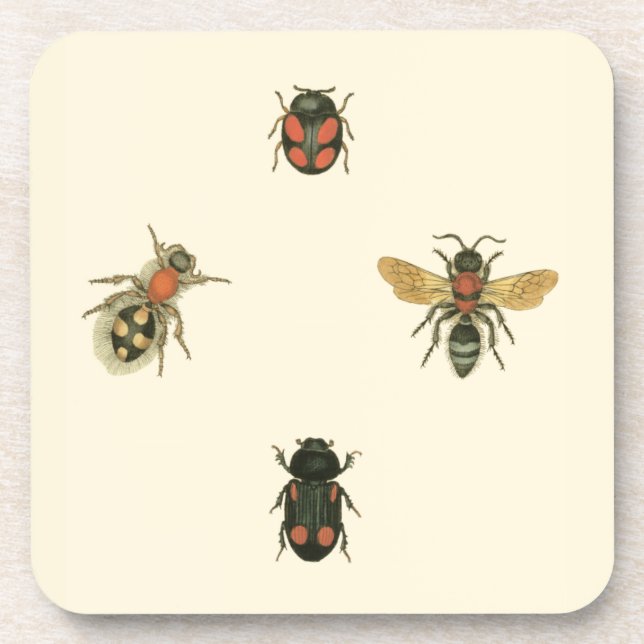 Posavasos Moscas y escarabajos por Vision Studio (Frente)