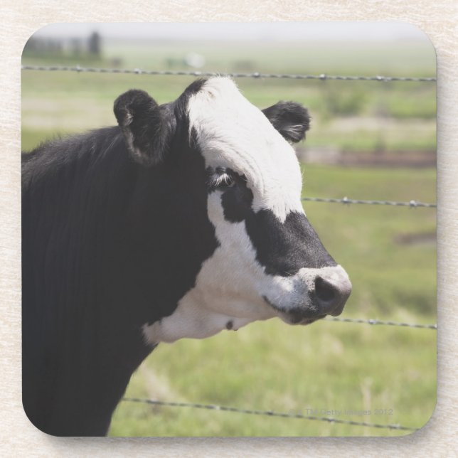 Posavasos Moseleigh, Alberta, Canadá (Frente)