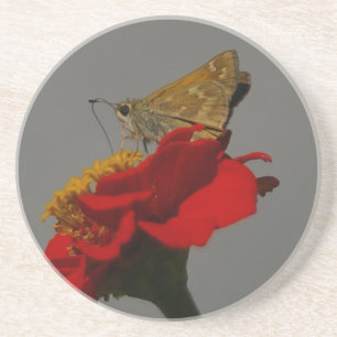 Posavasos Moth
