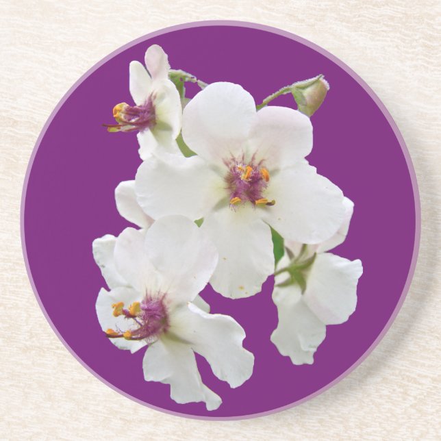 Posavasos Moth Mullein Wildflower Coaster (Frente)