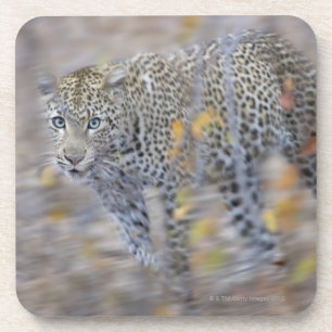 Posavasos movimiento borroso