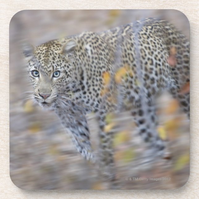 Posavasos movimiento borroso (Frente)