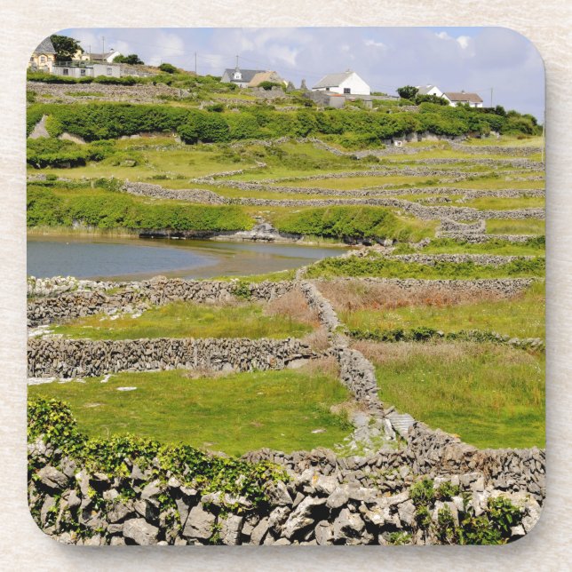 Posavasos Muros de piedra de Irlanda (Frente)