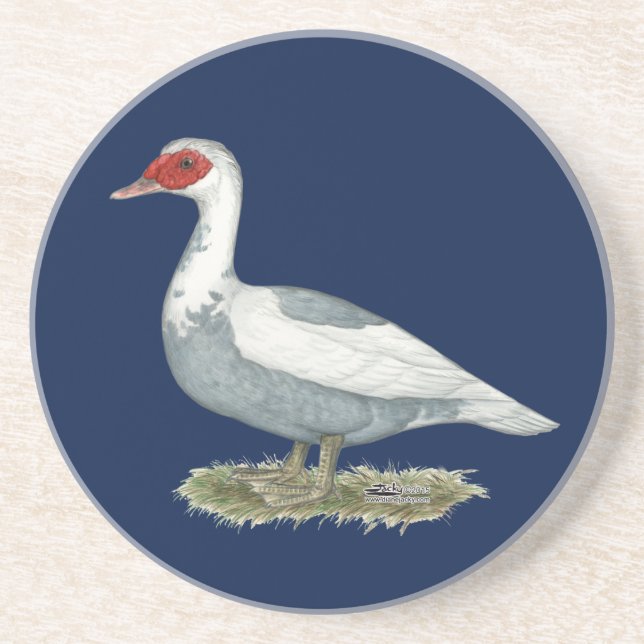 Posavasos Muscovy Blue Pied Duck (Frente)