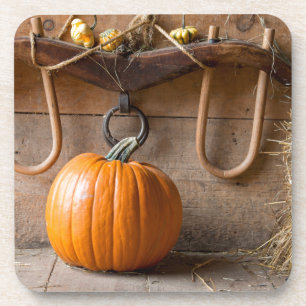 Posavasos Museo de los Granjeros. Calabaza en granero con pa