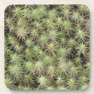 Posavasos Musgo verde