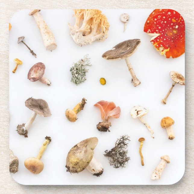 Posavasos Mushrooms Fungus (Frente)