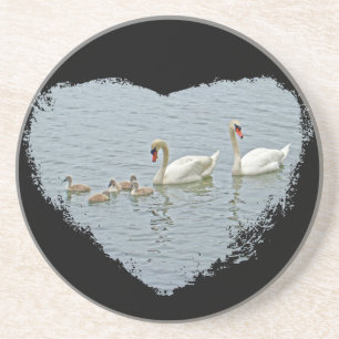 Posavasos Mute Swan Famly